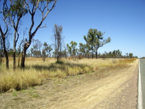Blog 012 Image 1